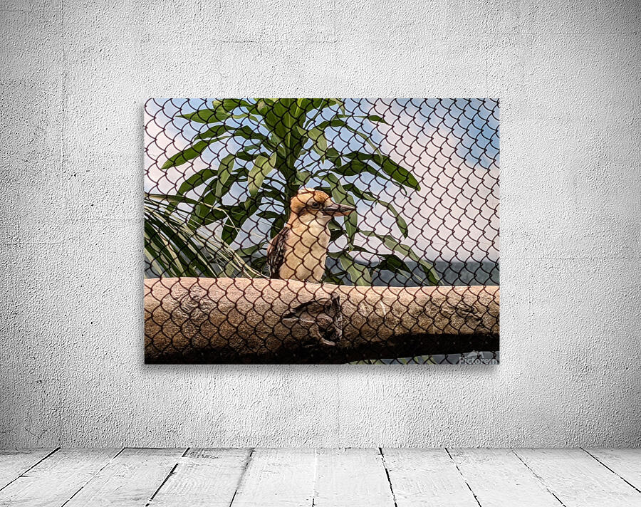 Zoo Wall Preview