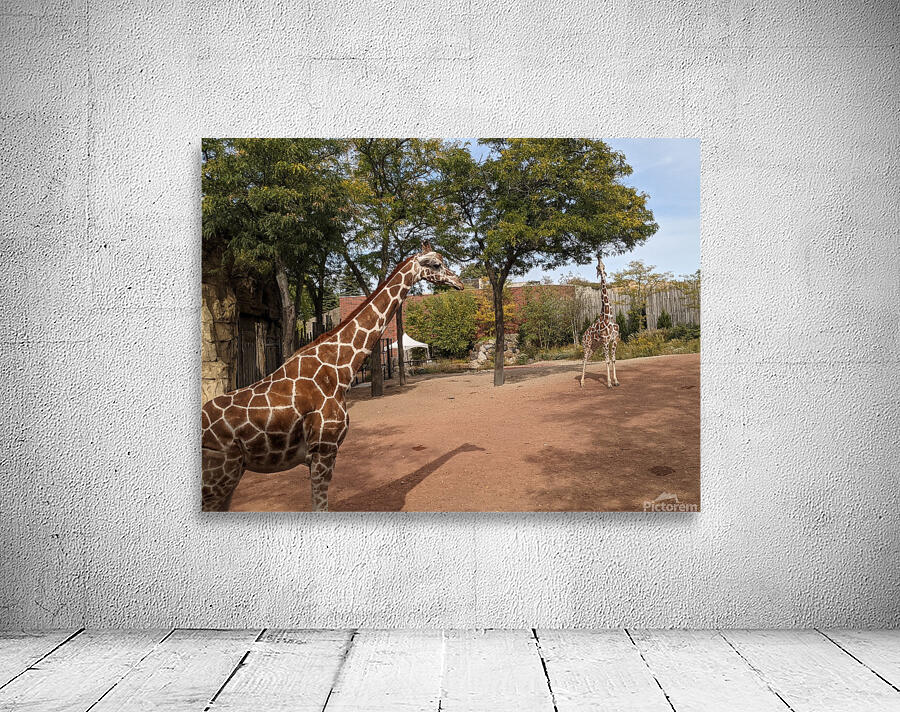 Giraffe Wall Preview