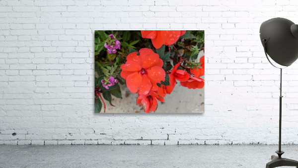 Red Flowers Wall Preview