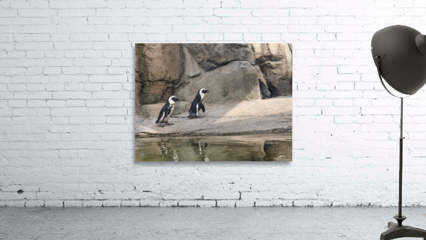 Penguin Wall Preview