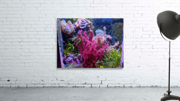 Aquarium Wall Preview