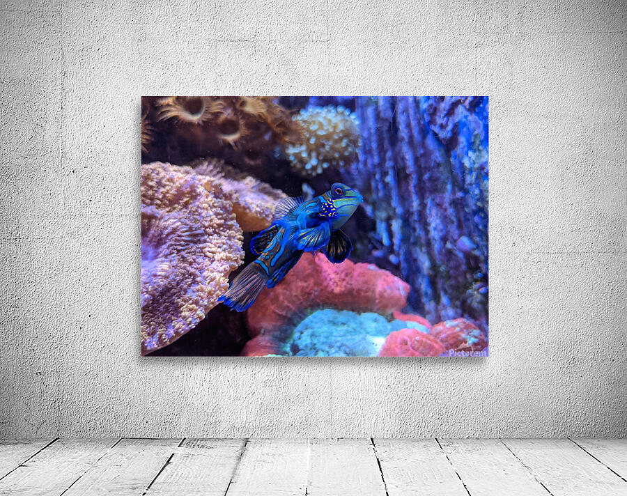 Blue Fish Wall Preview