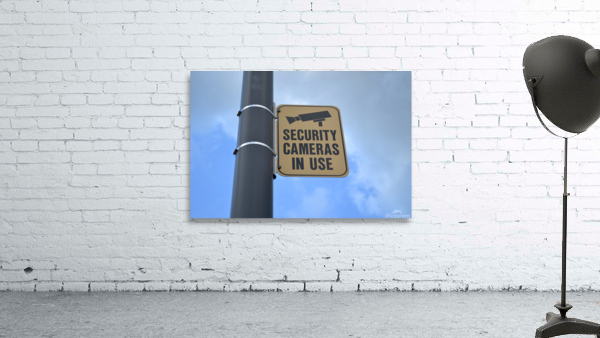 Security Cameras in Use Wall Preview