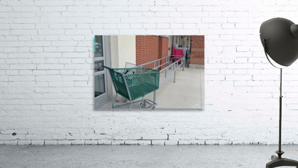 Shopping Carts Wall Preview