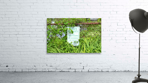 JK08 Wall Preview