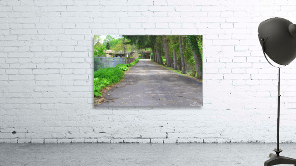 JK06 Wall Preview