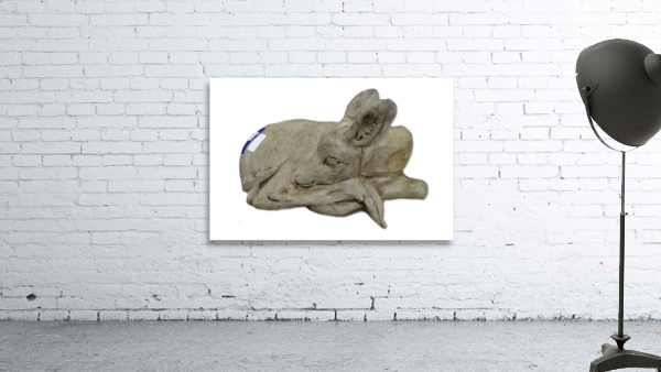 Deer Wall Preview