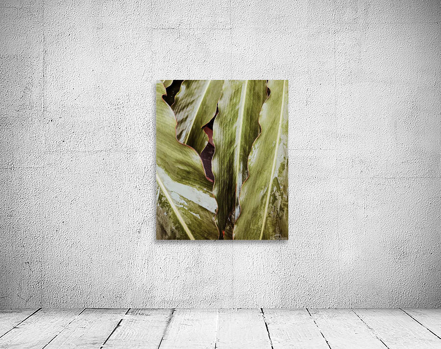 leaves2 Wall Preview