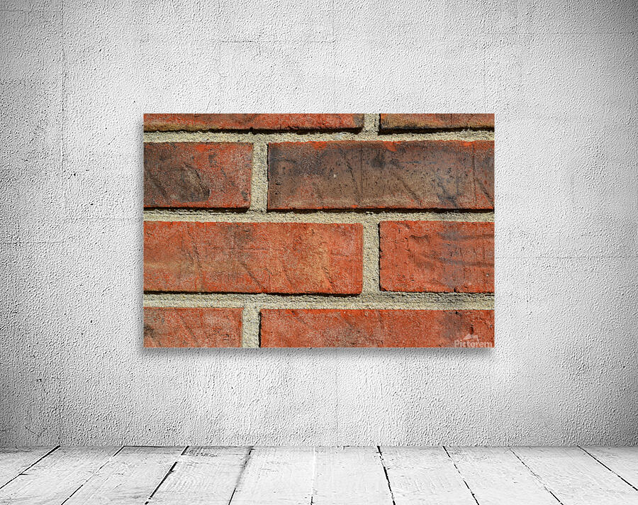 DSC 0107 Wall Preview