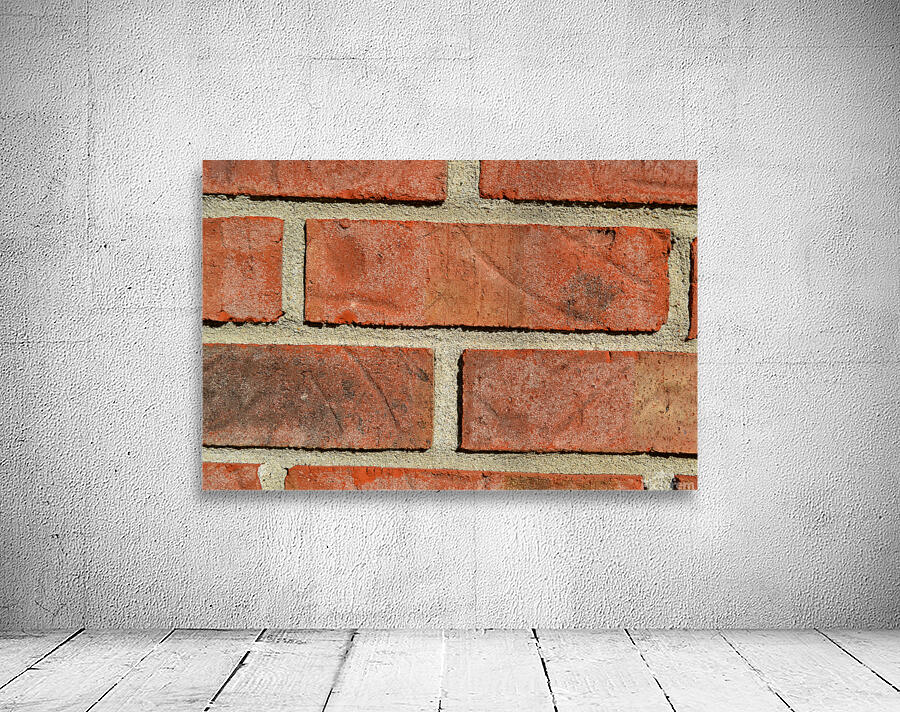 DSC 0111 Wall Preview