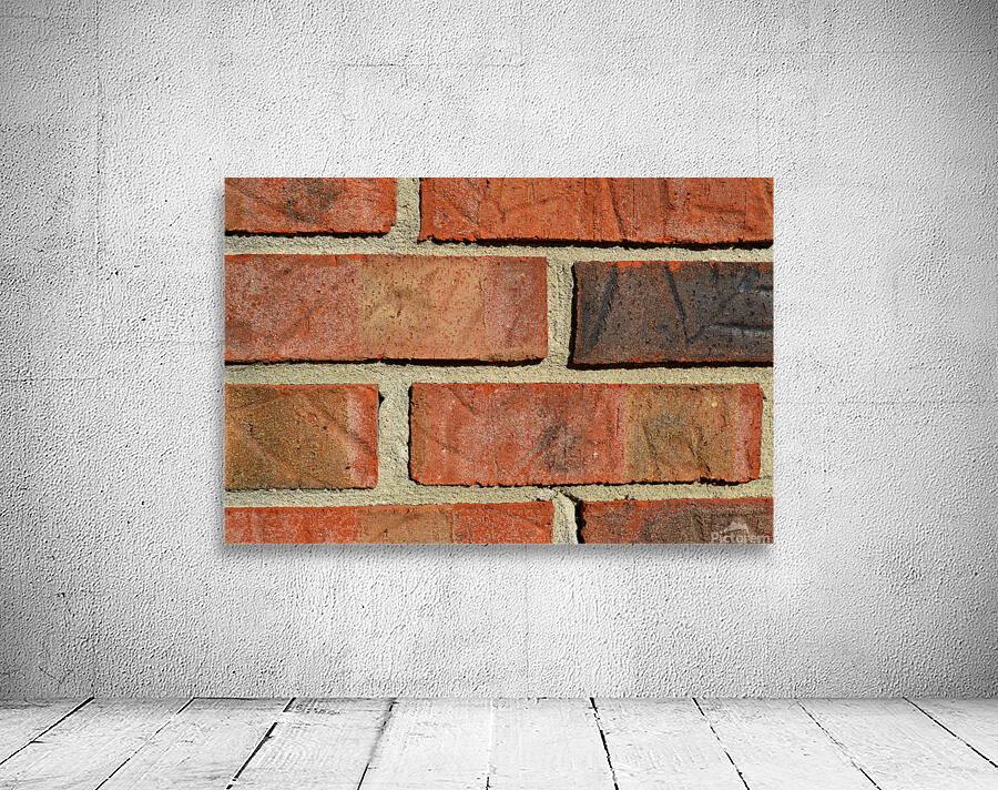DSC 0113 Wall Preview