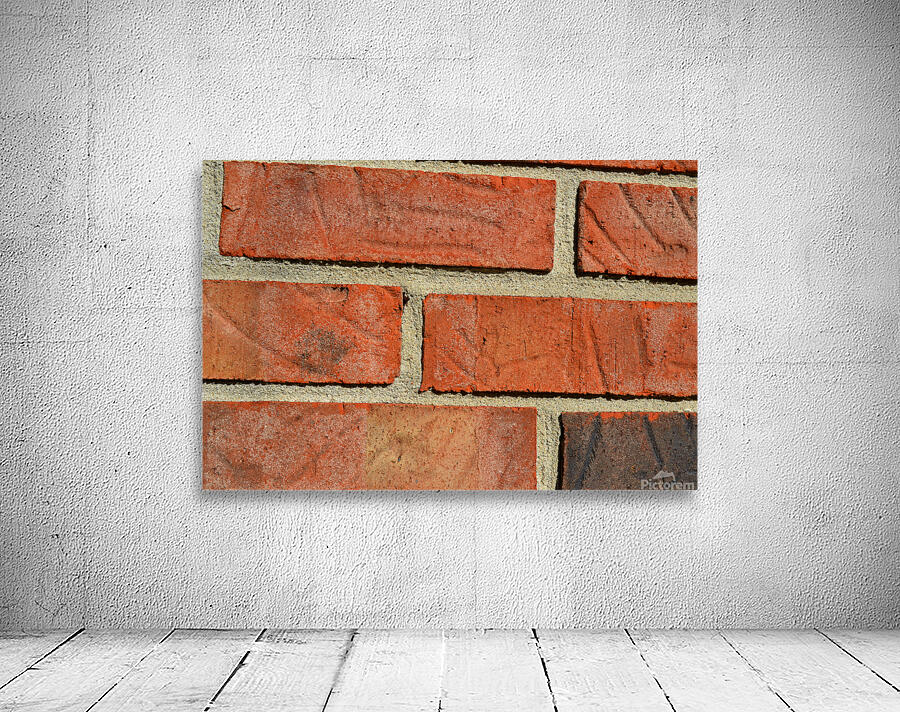 DSC 0112 Wall Preview