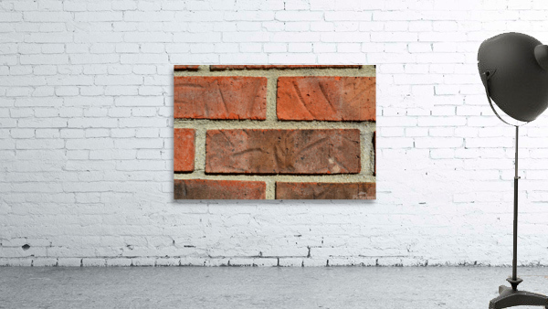 DSC 0108 Wall Preview