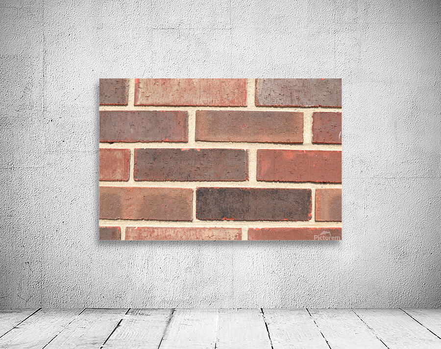 DSC 0011 Wall Preview