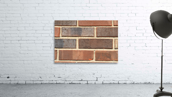 DSC 0005 Wall Preview