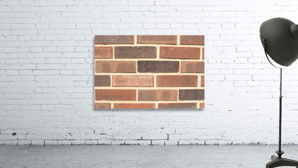 DSC 0010 02 Wall Preview
