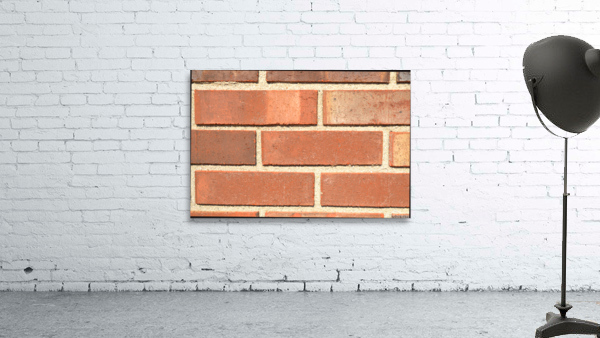 DSC 0004 Wall Preview