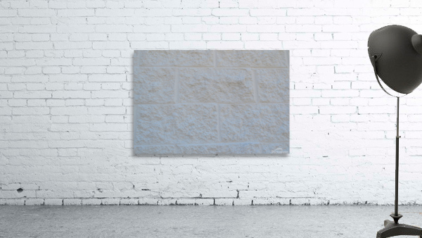 DSC 0395 Wall Preview
