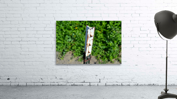 DSC 0059 Wall Preview