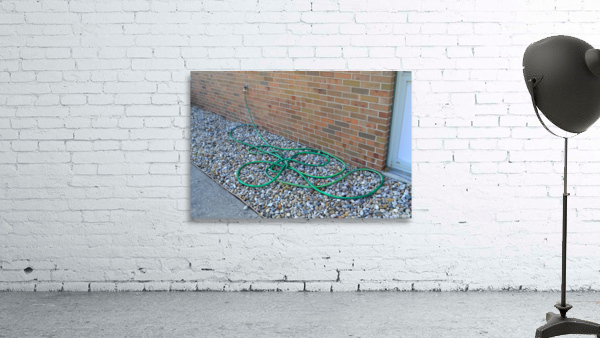 DSC 0310 Wall Preview