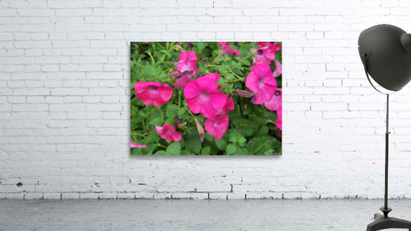 20220701 173231 Wall Preview