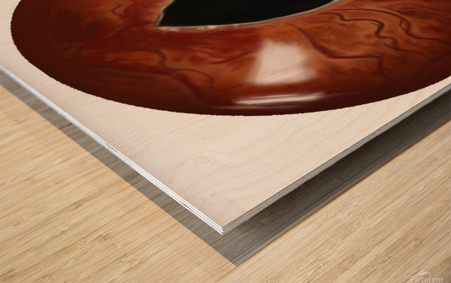 CatEyes Wood print