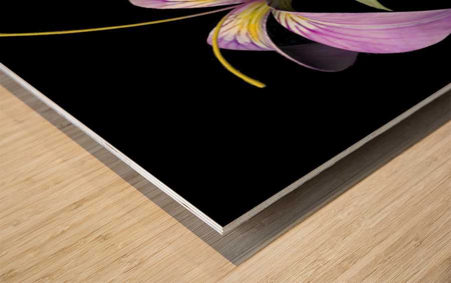 PurpleFlower2 Wood print