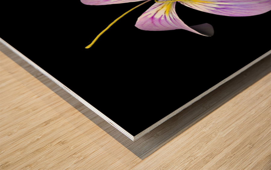 PurpleFlower Wood print