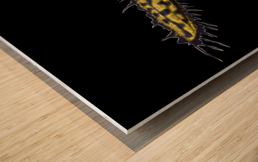YellowSerpent trans3 update Wood print