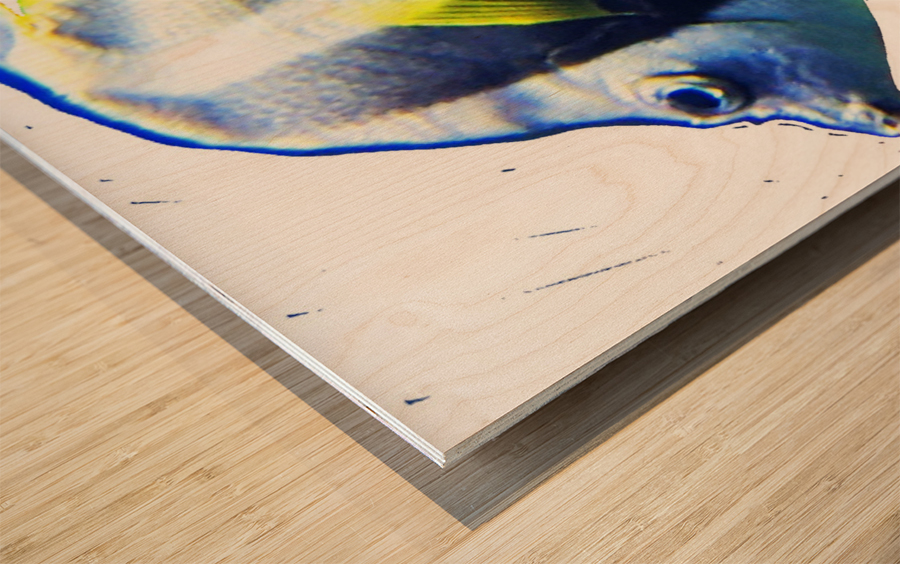 WhiteBlackFishStripe Wood print