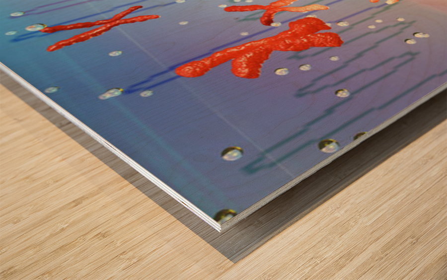 Chromosomes Wood print