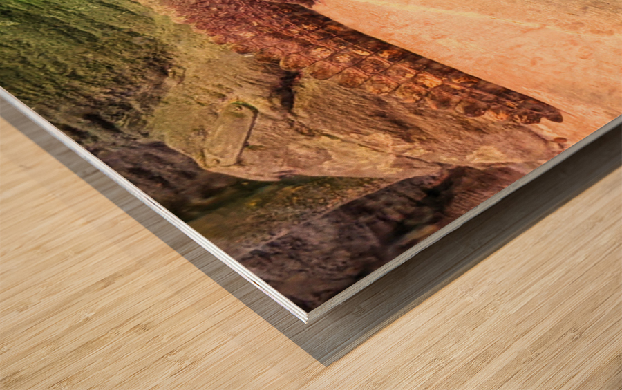 Crocodile Wood print