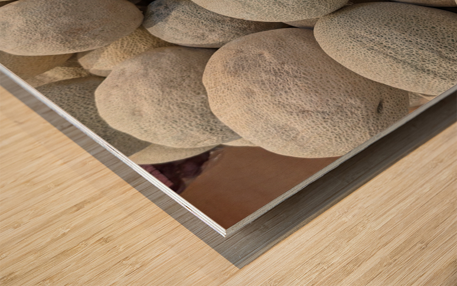 Cantaloupe Wood print