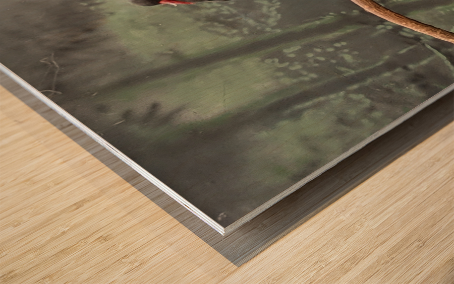 Bird Wood print