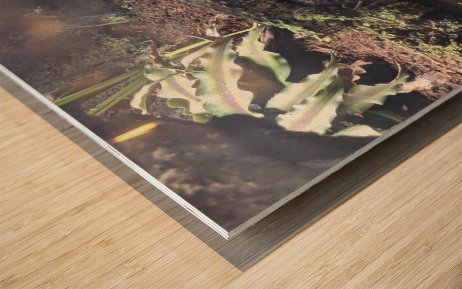 Reptile Wood print