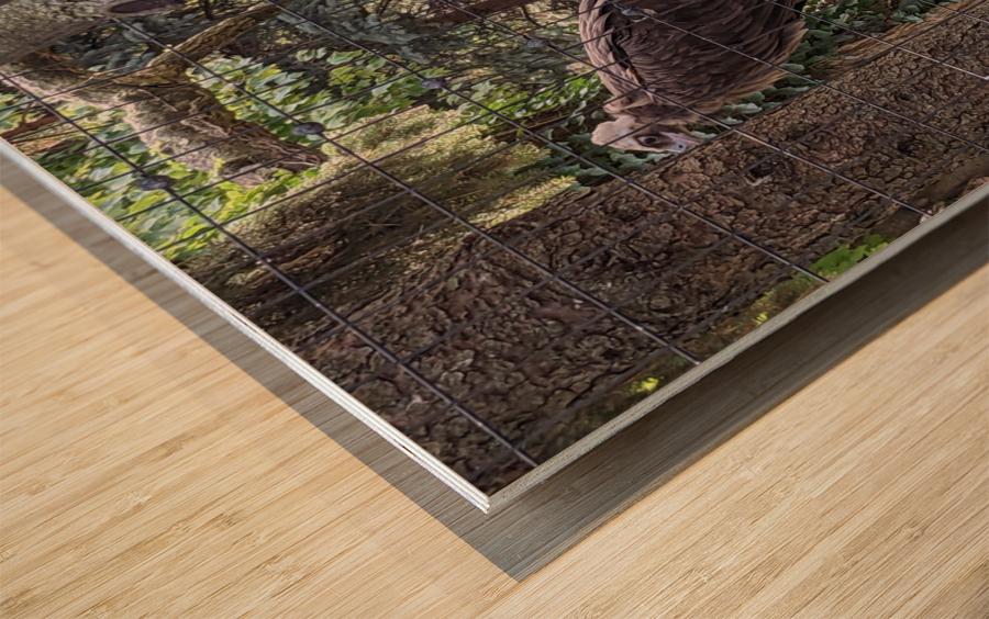 Bird Wood print