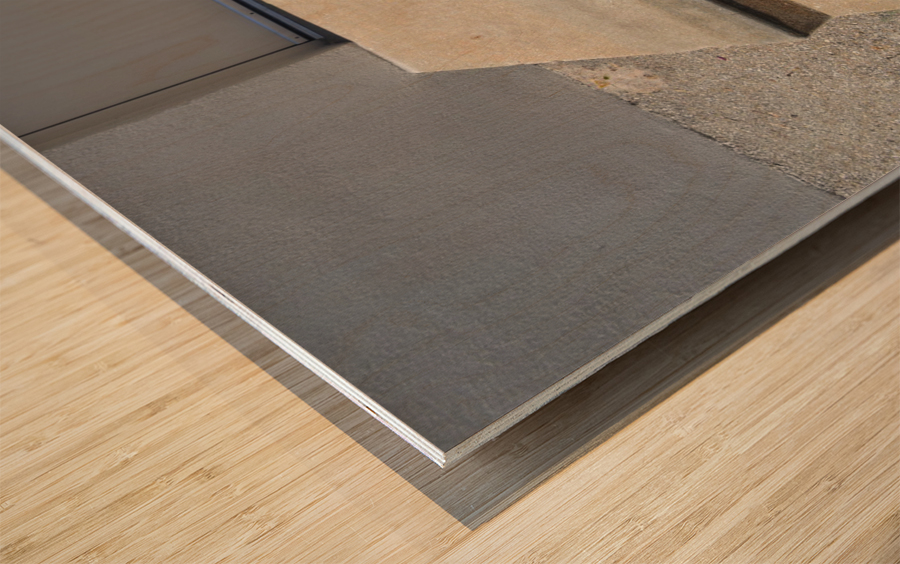 DSC 0084 Wood print