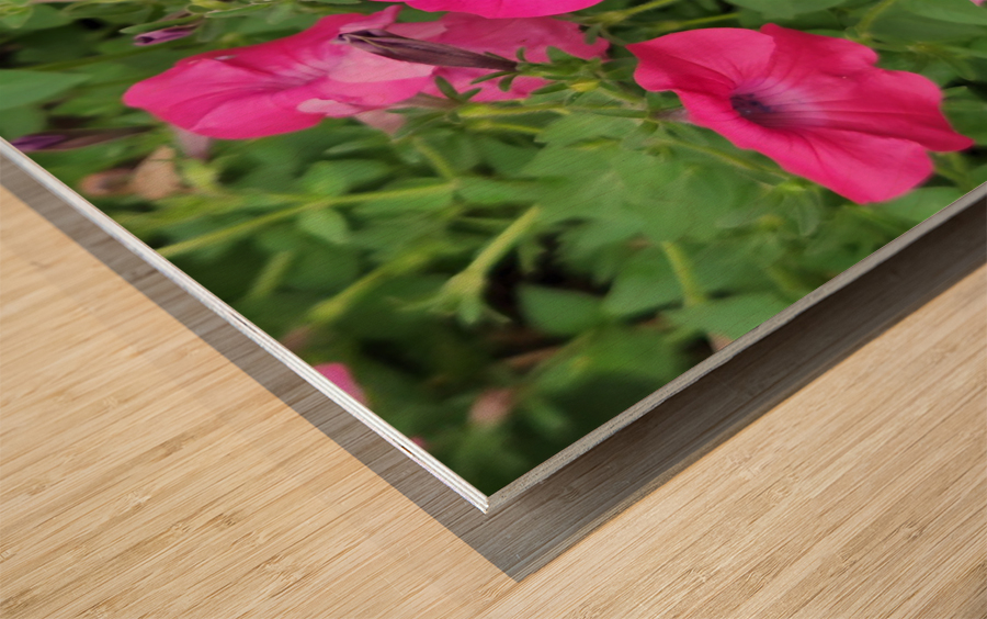 20220701 173231 Wood print
