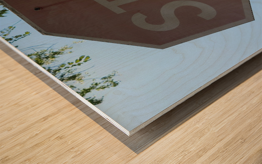 20220628 154354 Wood print