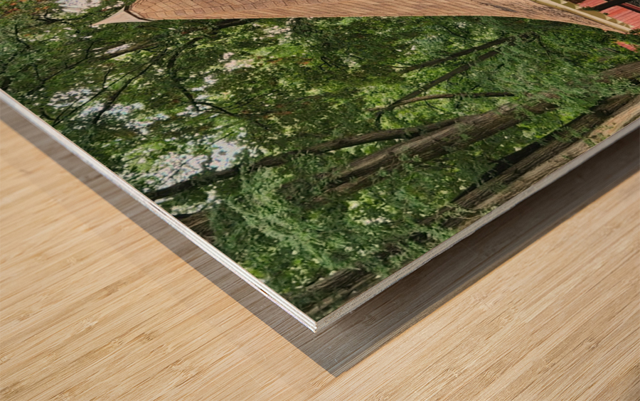 20220701 172741 Wood print
