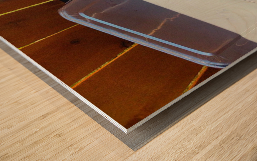 Hamburger Wood print