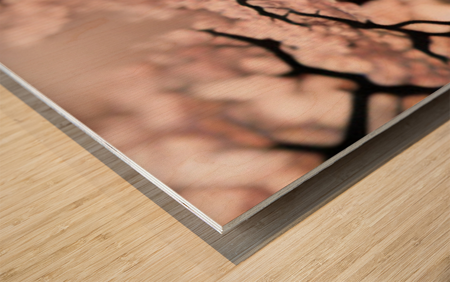pinktree2 Wood print