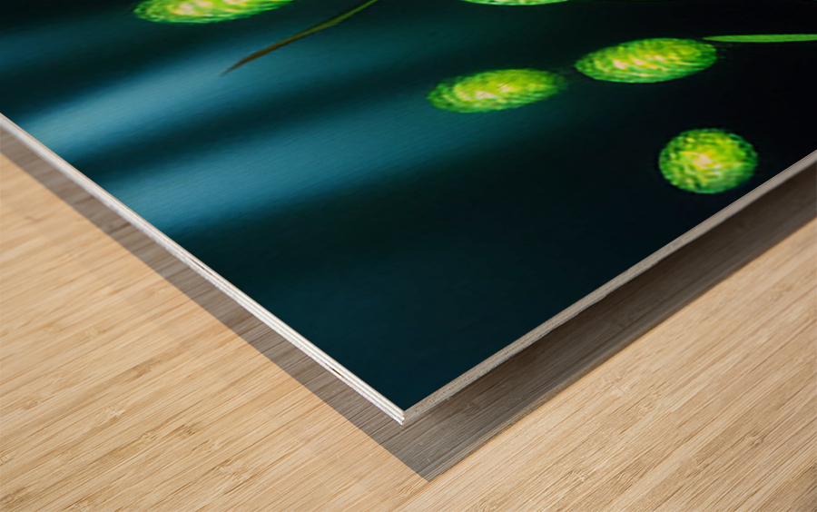 plant2 Wood print