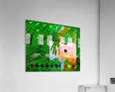 TUTU SMALL WORLD Acrylic Print