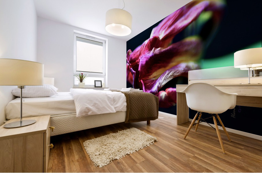 Tulip 5 Mural print