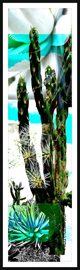 Cactus One Picture Frame print