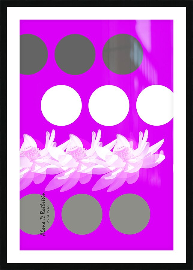 Lotus 5 Picture Frame print