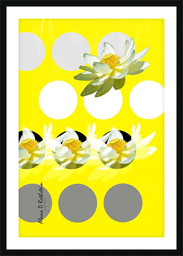 Lotus 2 Picture Frame print