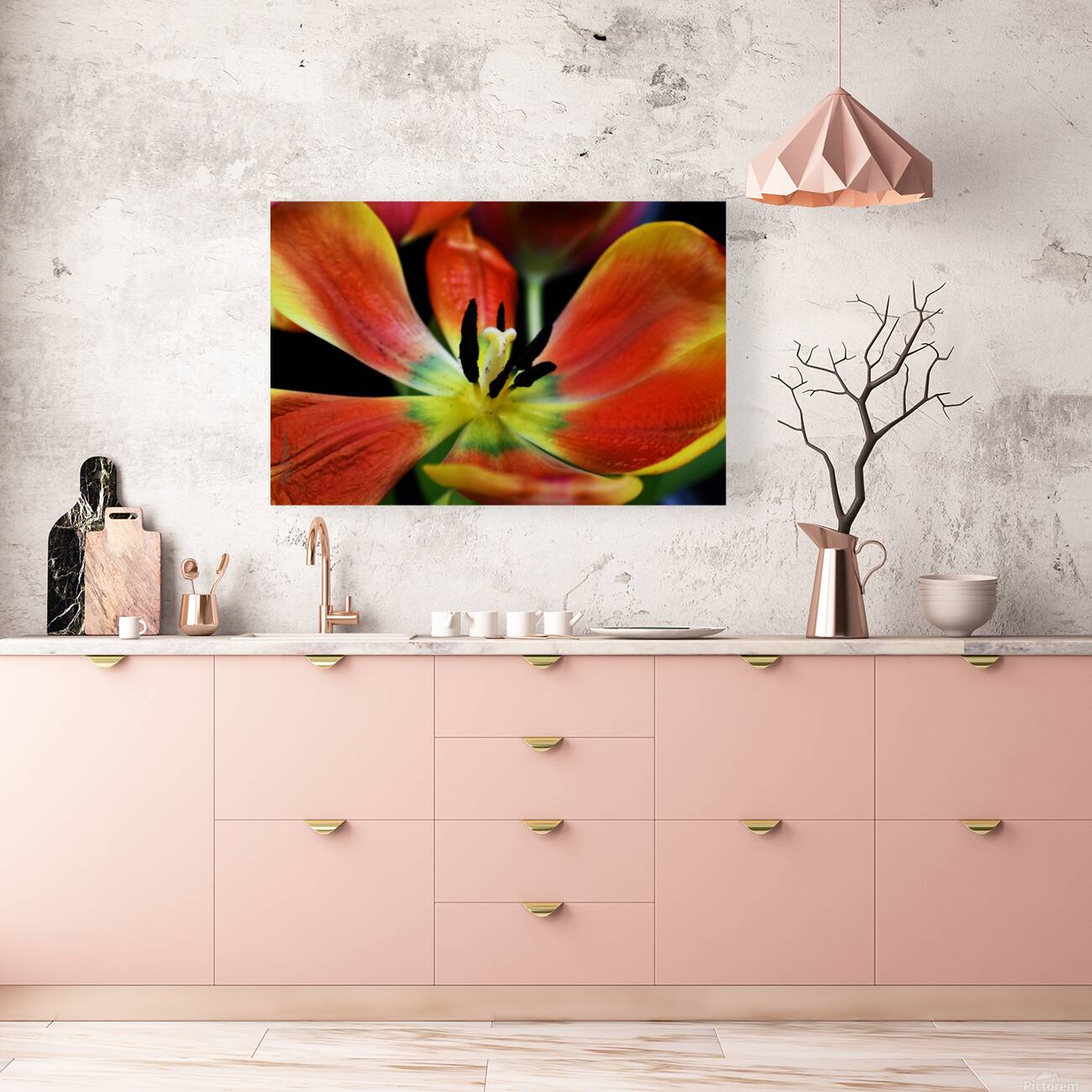 Tulip 2 Reproduction