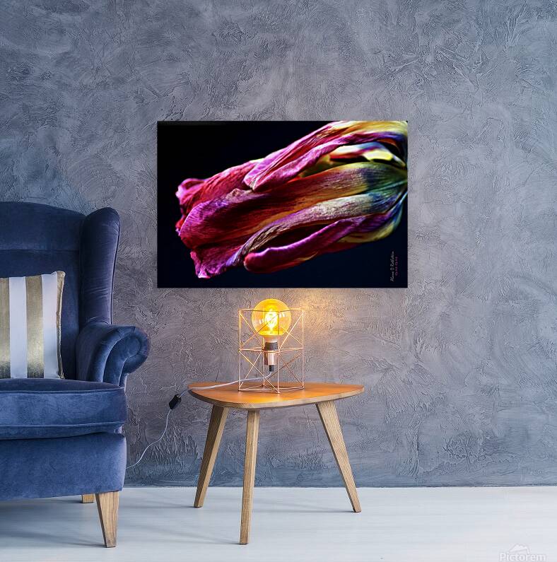 Tulip 3 Reproduction